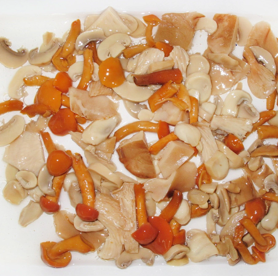 Canned Assorted Mushrooms in Brine