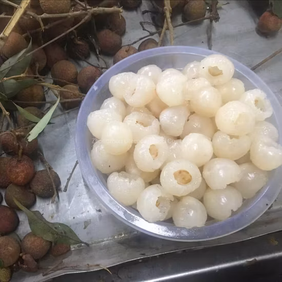 567 g de lichi en almíbar de fruta fresca saludable enlatado