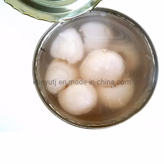 Litchi enlatado Lichi fresco enlatado entero en almíbar ligero o espeso